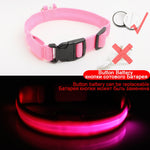 USB Charging Led Dog Collar Anti-Lost/Avoid Car Accident Collar