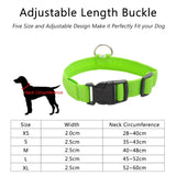 USB Charging Led Dog Collar Anti-Lost/Avoid Car Accident Collar