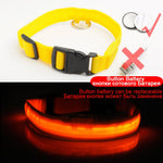 USB Charging Led Dog Collar Anti-Lost/Avoid Car Accident Collar